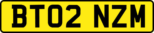 BT02NZM