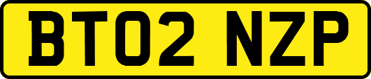 BT02NZP