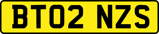 BT02NZS