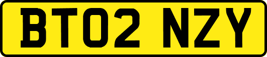 BT02NZY