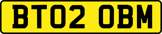 BT02OBM