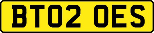 BT02OES