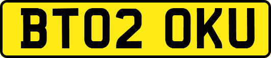 BT02OKU