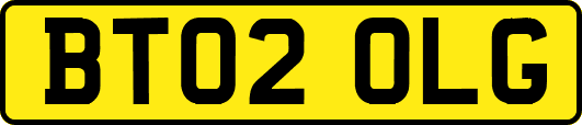 BT02OLG