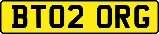 BT02ORG