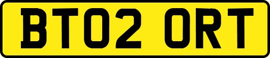 BT02ORT