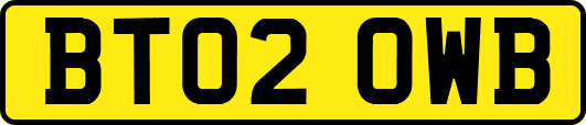 BT02OWB