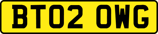 BT02OWG