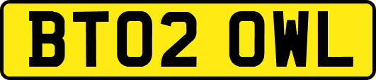 BT02OWL