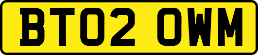 BT02OWM