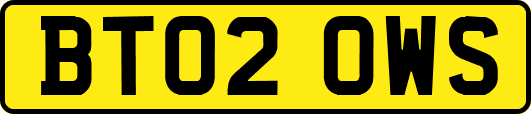 BT02OWS