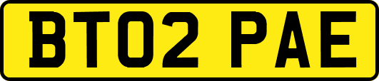 BT02PAE