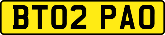 BT02PAO