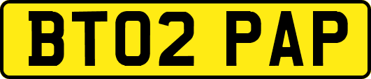 BT02PAP