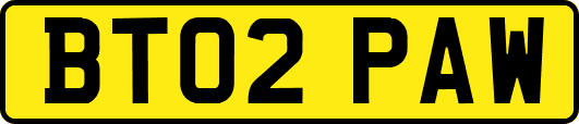 BT02PAW