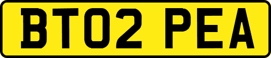 BT02PEA