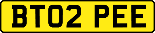 BT02PEE