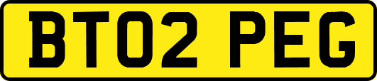 BT02PEG