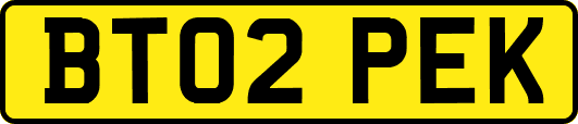 BT02PEK