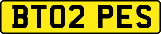 BT02PES