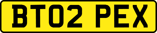 BT02PEX