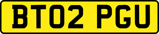 BT02PGU