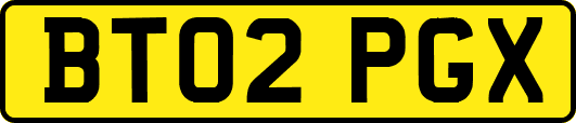 BT02PGX