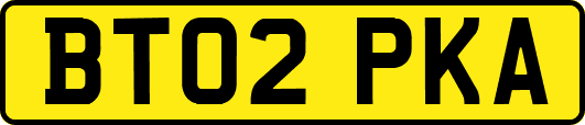 BT02PKA