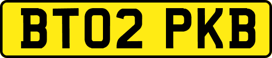 BT02PKB