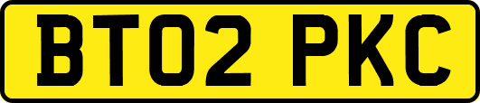 BT02PKC