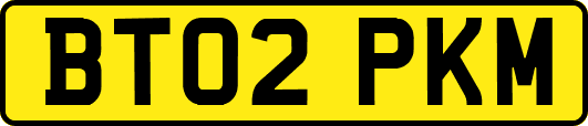BT02PKM