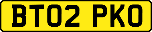 BT02PKO