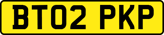 BT02PKP