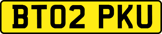 BT02PKU