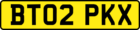 BT02PKX