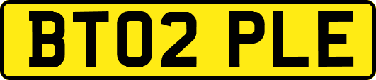 BT02PLE