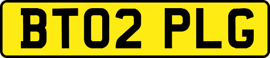 BT02PLG