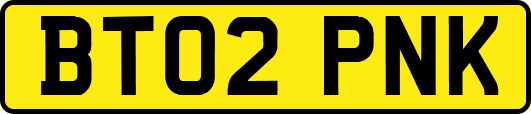 BT02PNK