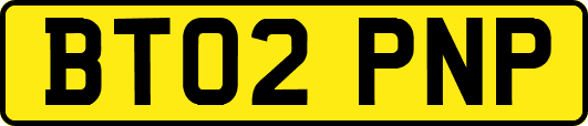BT02PNP