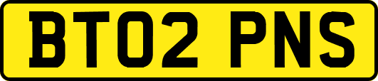 BT02PNS