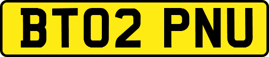 BT02PNU