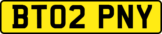 BT02PNY