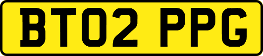 BT02PPG