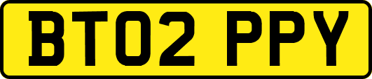 BT02PPY