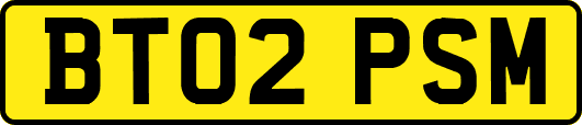 BT02PSM