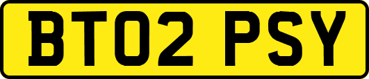 BT02PSY