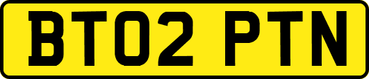 BT02PTN