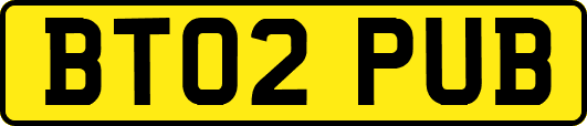 BT02PUB