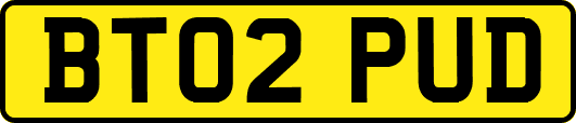 BT02PUD