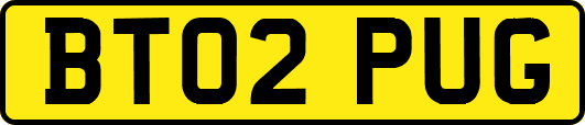 BT02PUG